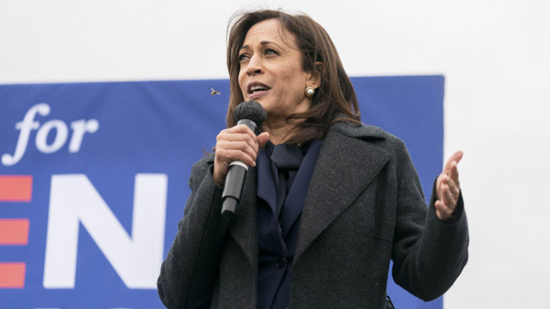 Kamala Harris, la primera mujer que accede a la vicepresidencia de Estados Unidos