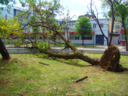 torm03.jpg