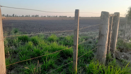 58lote preparado.jpg