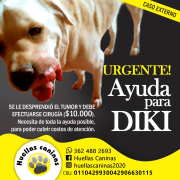 Diki 2.jfif