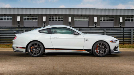 mustang.jpg