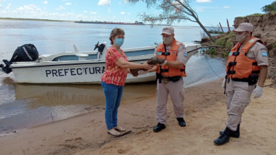 Encontraron fósiles en el Río Paraná