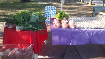 Pequeños productores del sudoeste apuestan a incorporar la actividad apícola en 2021
