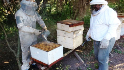 Destacan el impulso dado a la miel orgánica y el lugar que ocupa Chaco
