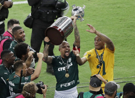 palmeiras.jpg