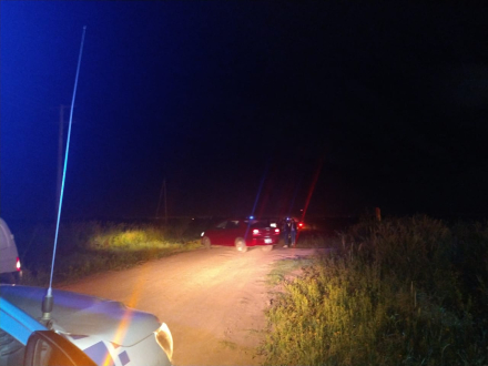 clandestina en un campo.jpg