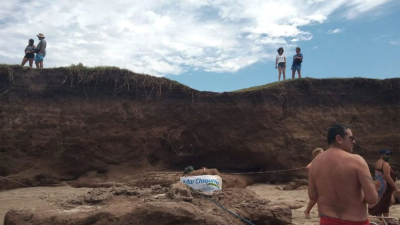 Vecinos hallaron un caparazón de gliptodonte en una playa de Mar Chiquita