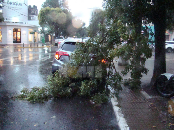 Foto: Fabián Maldonado.