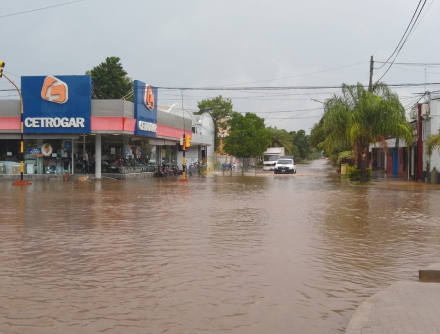 lluvia Impenetrable 3.jfif