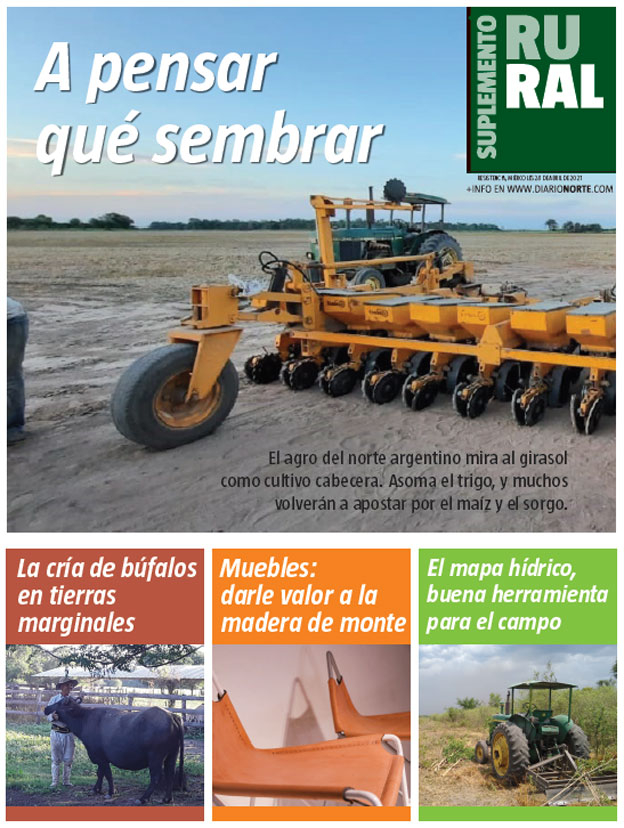 A pensar qué sembrar