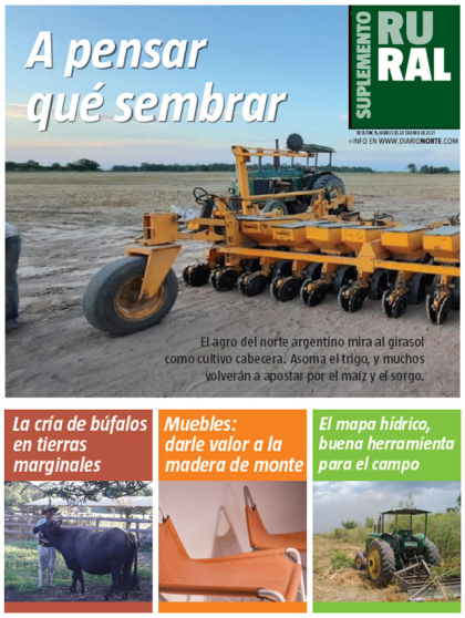 A pensar qué sembrar