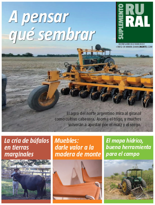A pensar qué sembrar
