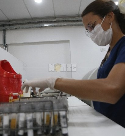 hematología.jpg