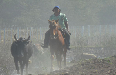 El Chaco se caracteriza por tener un comportamiento hídrico variable