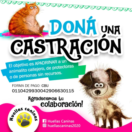 cartel castracion.jfif