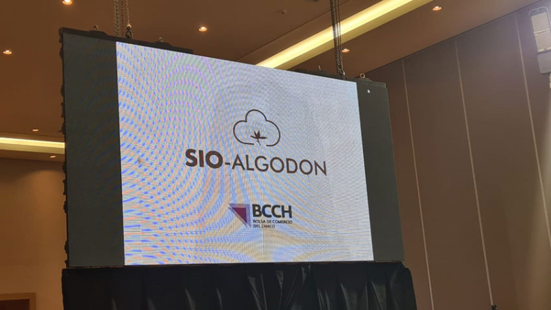 Tiempo de descuento para el lanzamiento formal del Sio-Algodón
