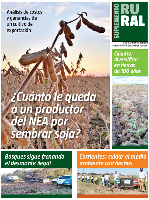 ¿Cuánto le queda a un productor del NEA por sembrar soja?