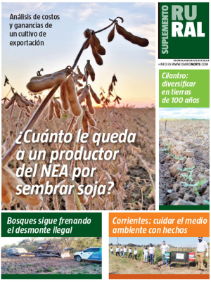 ¿Cuánto le queda a un productor del NEA por sembrar soja?