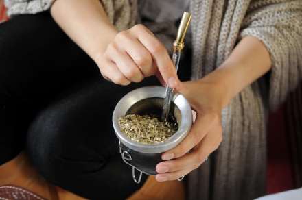 yerba4.jpg