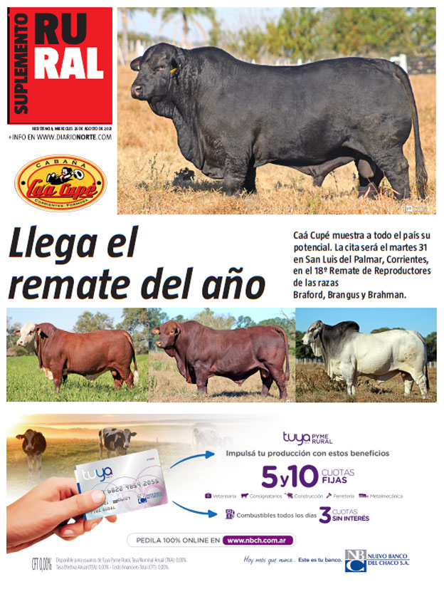 Llega el remate del año