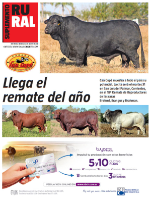 Llega el remate del año