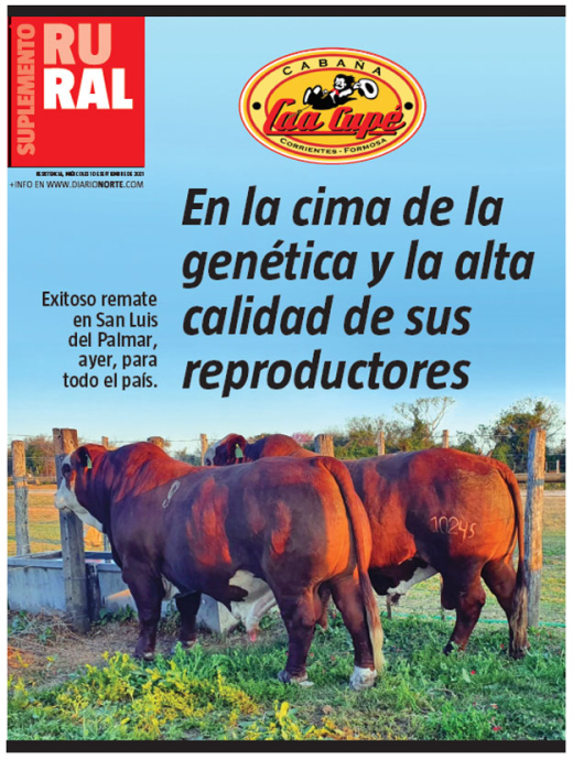 En la cima de la genética y la alta calidad de sus reproductores