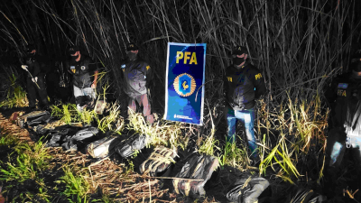 La PFA secuestró casi 237 kilogramos de marihuana
