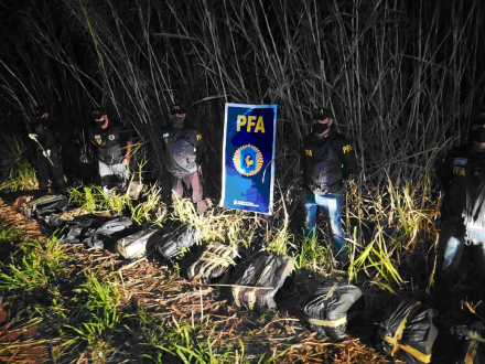 pfa.jpg