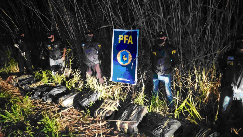 La PFA secuestró casi 237 kilogramos de marihuana