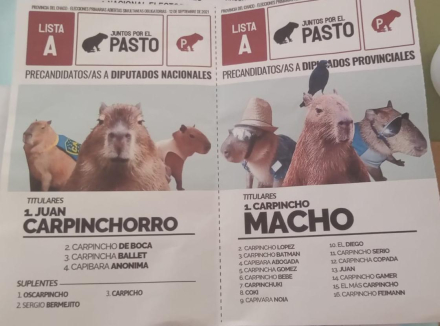 carpincho 1.jpeg