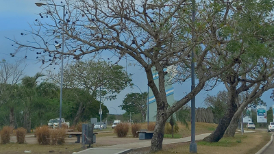La primavera llegaría al Chaco con lluvia y descenso de temperatura
