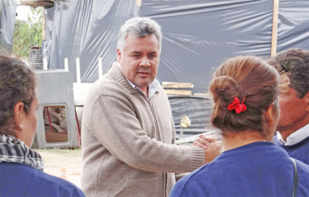 Falcon intendente.jpg