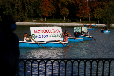 madrid.jpg