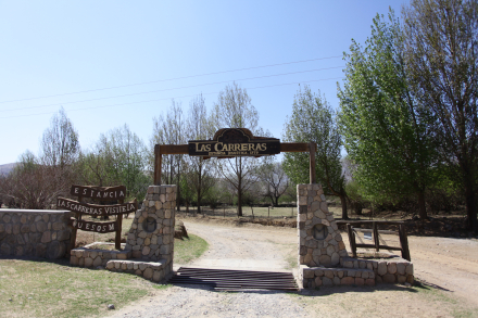 Estancia las Carreras (3).JPG