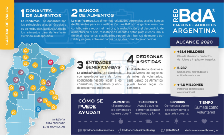 Infografía REDBdA.JPG