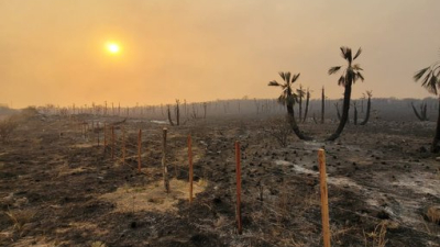 Incendios forestales, evacuados y tres muertos en Córdoba 