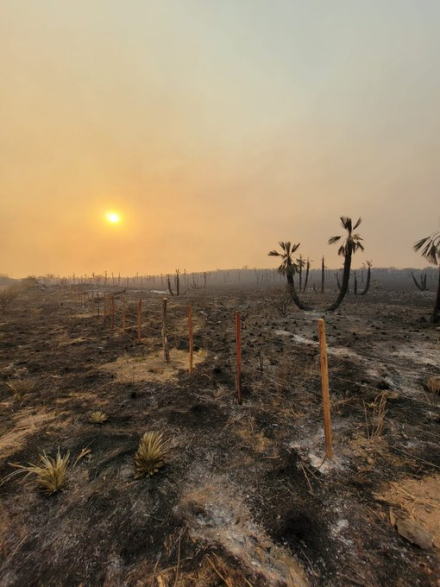 cba incendios4.jpg
