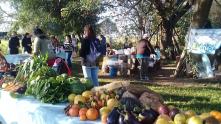 inta argentina.jpg