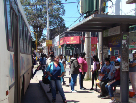 colectivos3.jpg