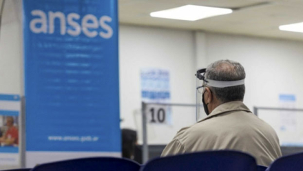 anses.jpg
