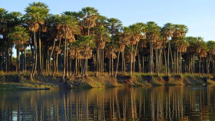 parque nacional05.jpg