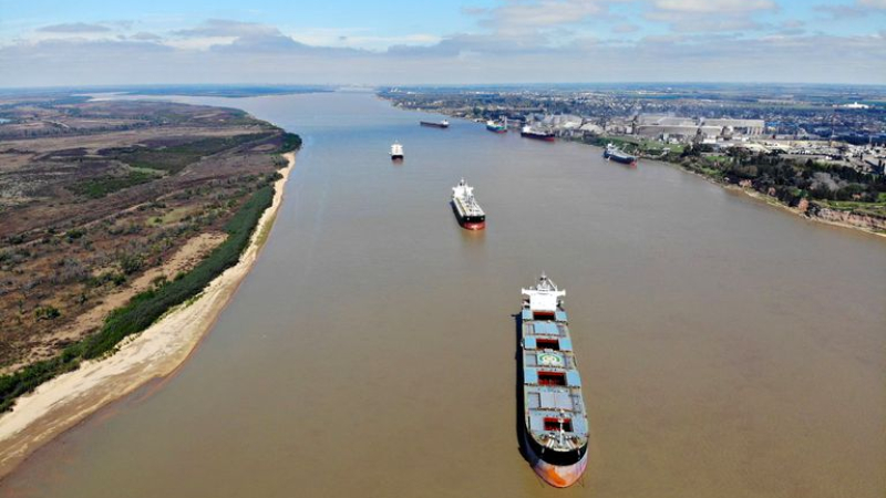 Frenaron la exportación fraudulenta de más de cuatro mil toneladas de maíz partido