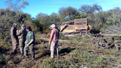 Bosques estima recaudar $ 93 millones por multas a depredadores