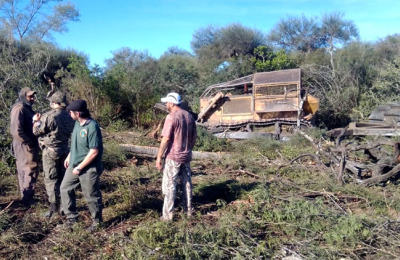 Bosques estima recaudar $ 93 millones por multas a depredadores