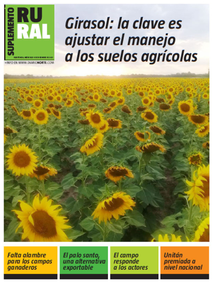 Girasol: la clave es ajustar el manejo a los suelos agrícolas