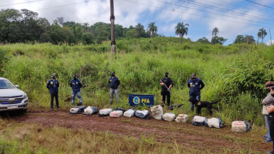 La Policía Federal detuvo a un sujeto que enviaba droga por encomiendas