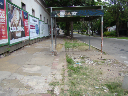 vere6.jpg