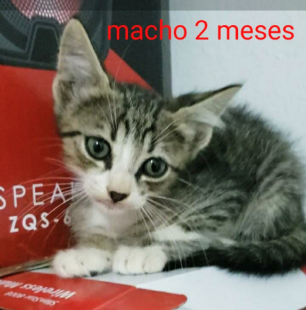 32.jpg