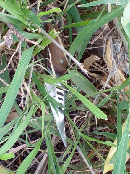 cuchillo muerto Pinedo.jfif