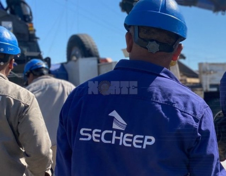 secheep otra.jpg